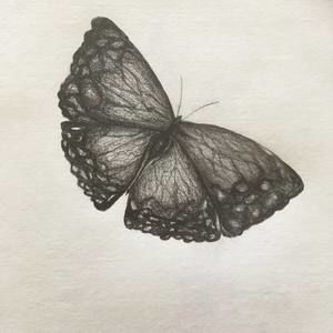 Meet your Posher, Alison